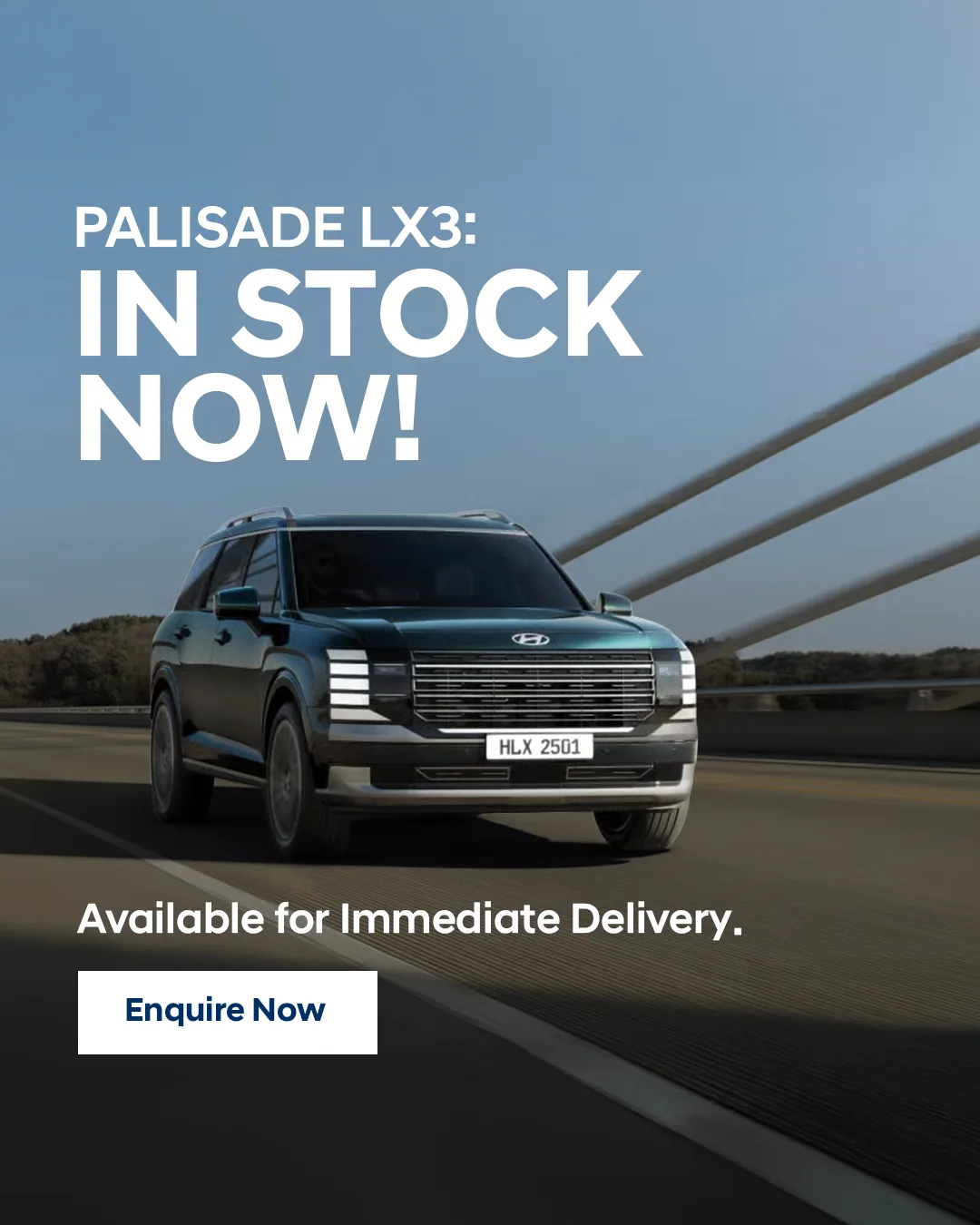 Sydney City Hyundai — Palisade LX3